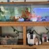 150 fish tank complete setup