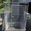 Large Parrot Cage with Playtop $120