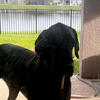 Need to rehome