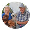 White Labrador Retriever Puppies