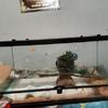 Xl double door front opening tank
