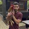 Swedish Flower Hen Hatching Eggs