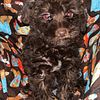 Female Schnoodle born 2-14-23