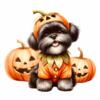 2 ckc registered female shih tzu puppies