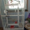 Bird cages