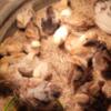 Mottled cochin chicks and hatching eggs
