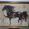 Beautiful Horse Lepa Zena Canvas Print