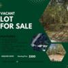 Invest in Your Future: Exclusive Land Listings Available! . With $500 DOWN!