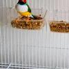 Gouldians for sale in San Fernando Valley