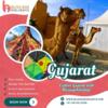 Experience the best of Gujarat with Blissage Holidays