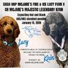 Litter announcement! Red and Black standard poodles