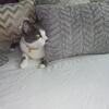 Rehome