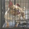 Female available