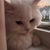 2-Year-Old Sweet & Playful princess