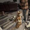 Sweet 4-Month-Old Australian Shepherd Puppies Looking for Loving Homes