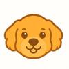 Cavapoo Platform