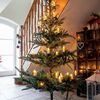 NOV 2023 Scandinavian Old Fashioned NEW 7 1/2 ft Sparse layered Christmas Tree