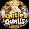 Fresh quail eggs and Hatching Eggs