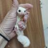 Sugar glider baby boy leucistic with lineage