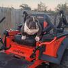  exotic bully next level bull