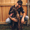 11 month old male Dutch Shepherd, KNPV Blood Lines ( open to trades)