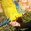 Blue & Gold Macaw Baby