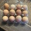 Hatching Eggs