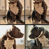American pocket bully's 1000
