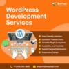 Stay Ahead of the Curve with BeePlugin WordPress Development Services