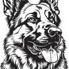 Re homing female German shepherds
