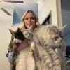 TICA Maine Coon Kittens