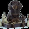 Brain Training Dog