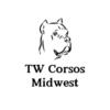 Corsos Available!  South of Chicago Take home today!