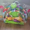 Fisher price play mat