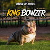 👑 KING BOWZER 👑 Micro stud