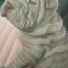 Wrinkles wrinkles wrinkles