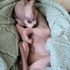 Marble Sphynx