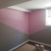 Professional painter available , very clean and meticulous 