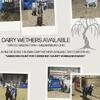 Dairy Wethers 4h FFA Goats Weedeater