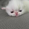 Adorable and sweet