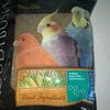 Cockatiel Seed