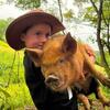Gilt piglets ready for new homes + chickens
