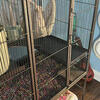  Chinchilla cage 