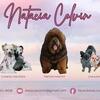 Heavenly Haven Kennel 