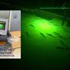 Underwater Green Dock Lighting