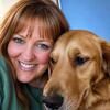 Golden Retriever adult females