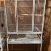 Powder coated parrot cocktail medium size bird cage play area top on wheels