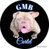 Bully stud GMB CARTEL direct BABY SENSAI SON