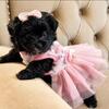 Pomapoo girl Nova