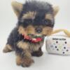 Yorkie Puppies for sale New York- New Jersey